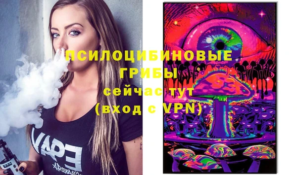стаф Богородск