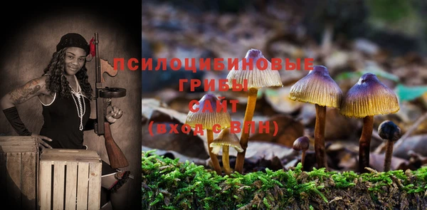 таблы Богданович