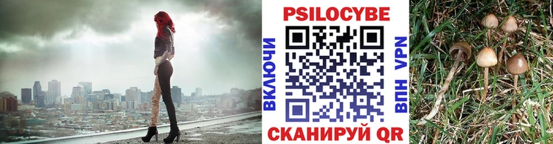 Псилоцибиновые грибы прущие грибы  Купить  Ярцево 